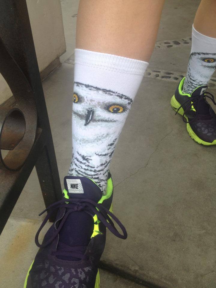 owl socks